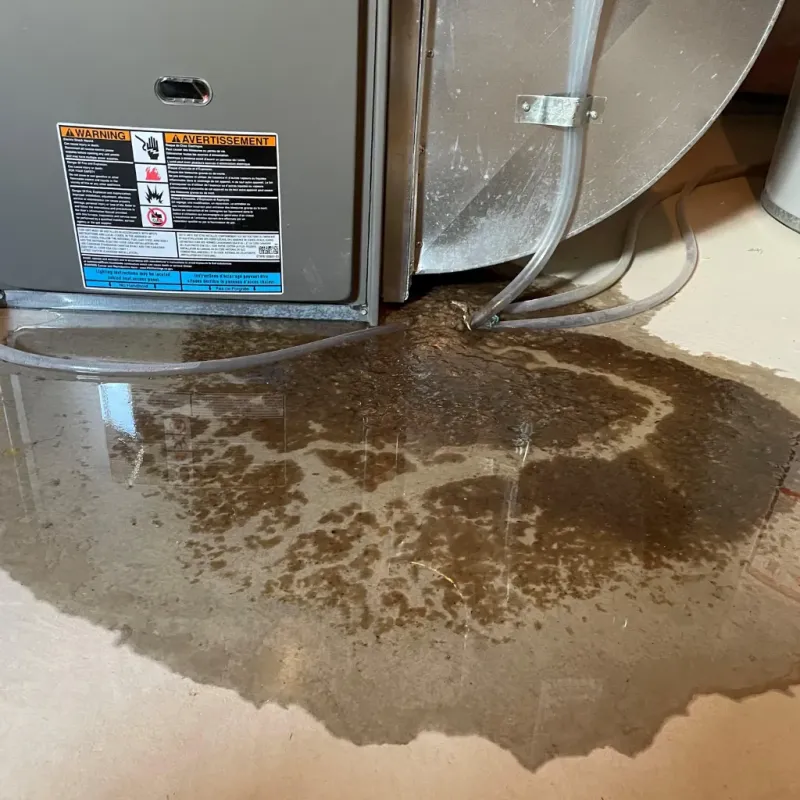 Appliance Leak Cleanup in Springfield, CO