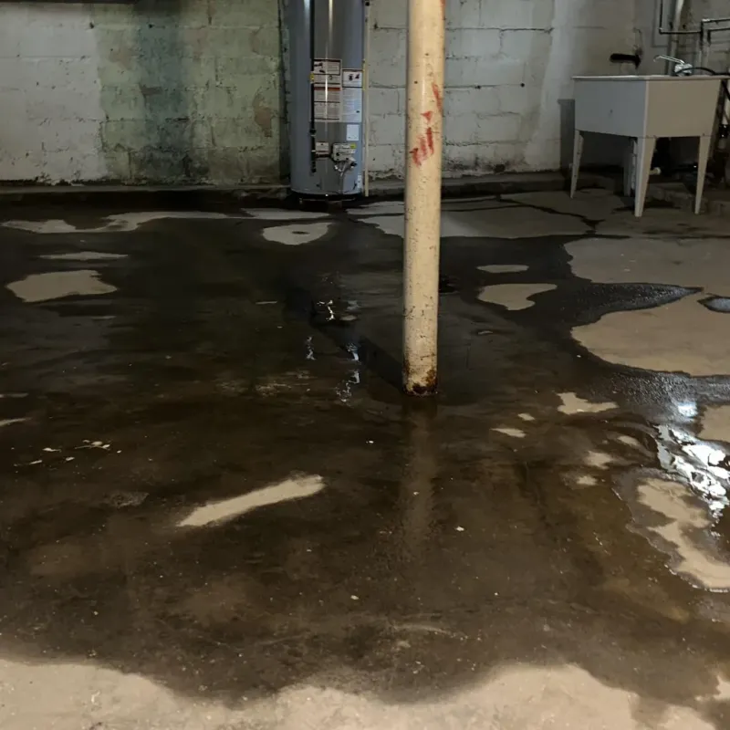 Emergency Water Extraction And Removal in Springfield, CO